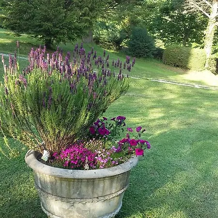 アパート Finetti *