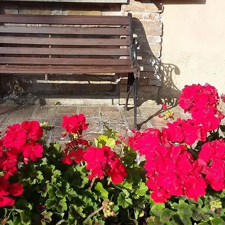 Finetti グッビオ