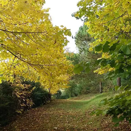 Finetti グッビオ