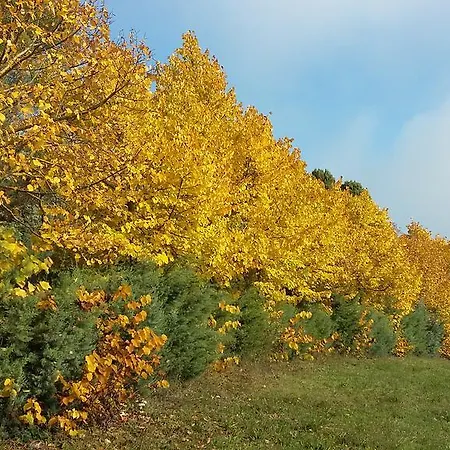 アパート Finetti グッビオ