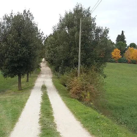 Finetti グッビオ