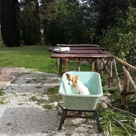 Finetti アパート グッビオ